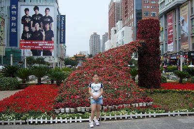 p1040491_ (13)