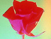 2007022713