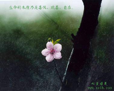 g200512101