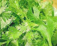 img2457086
