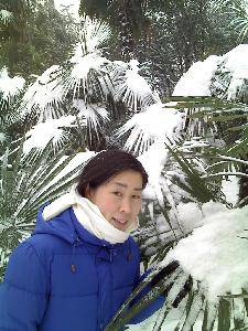 2008ĵһѩ