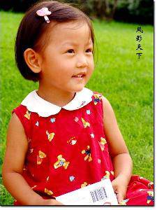 lefengying