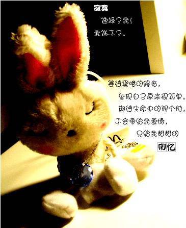 76a4db1022