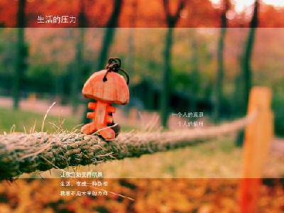 ab39fb344f
