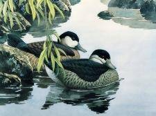 cnpaint_20