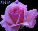 adef198b3b