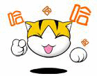kittenbaoz
