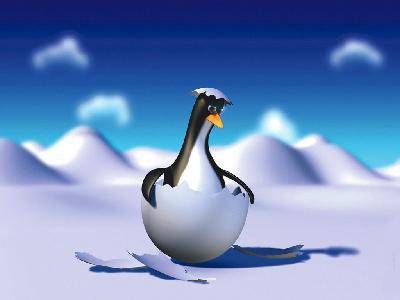 linux_4013