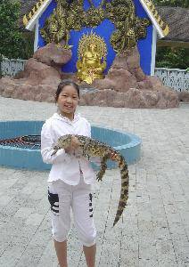 Ŷ