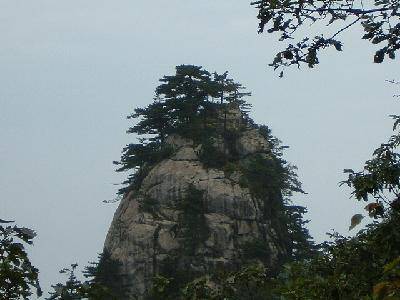 羰1