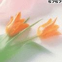 ҵ