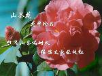 ɽ軨
