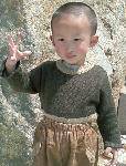 2008Ĵ