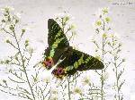 E:MyPictures######1024x768_001.jpg
