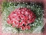 ΢ЦƬ