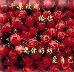 ʮŶõ廨