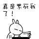 ˹