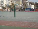 Ĳٳ
