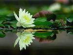 ֮