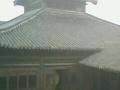 Ŵ