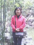 ԰Ӱ