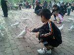 ι