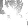 Α