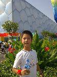 侫