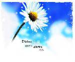 photoshop