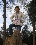 liuhuiwen