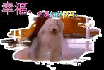 36.gif