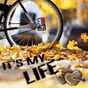 mylife