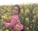 IMG0204A