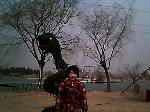 IMG0182A