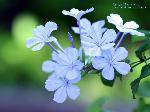 86cf1a1b8c3588018718bf3f