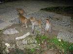 DSCN1442
