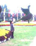 IMG0035A
