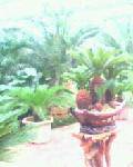 IMG0068A