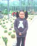 IMG0065A
