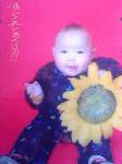 IMG0443A