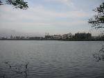 large_3561e177