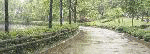 200772706[1]