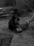 IMG0018A