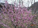 CIMG0060