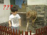 ʲô