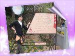 large_daRf_550n132089[1]