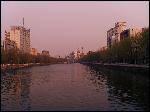 20080607_e4da8aa19c432d662446hzMvzRxC5JaC
