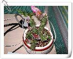 nEO_IMG_IMG_0274