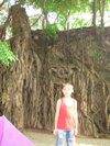 DSCN0077