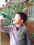 IMG0173A